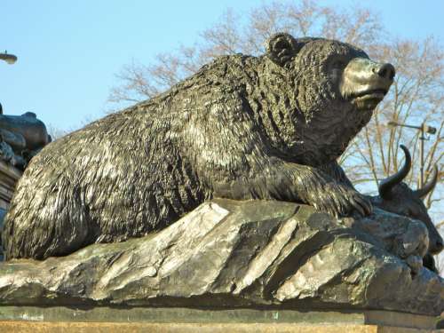 Philadelphia Pennsylvania Statue Bear Close-Up Art