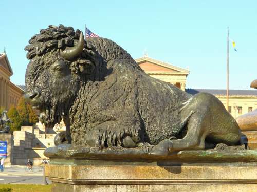 Philadelphia Pennsylvania Statue Buffalo Bison