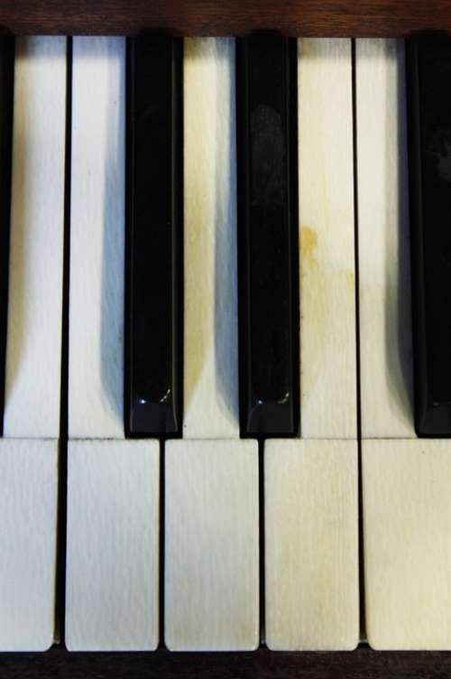 Piano Piano Keys Play The Piano Sound White Black