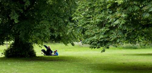 Picnic Mother Children Park Mature Trees Grass