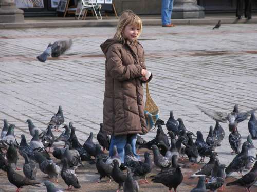 Pigeons Space Girl Child Feed Birds Eat Peck