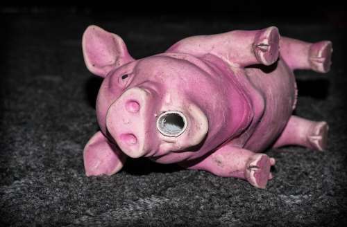 Piggy The Pig Toy Rubber Dog Pink