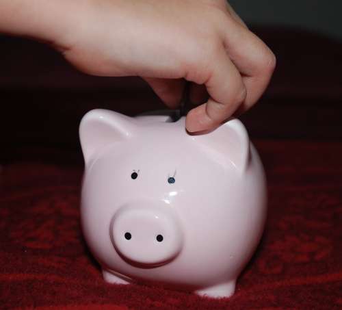 Piggy Bank Pig Savings Money Child Pink