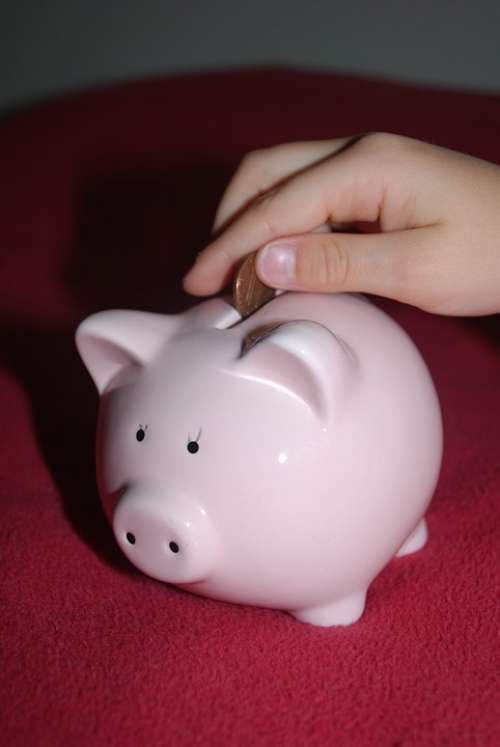 Piggy Bank Savings Pig Money Child Pink