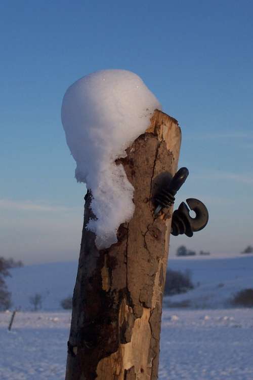 Pile Bridle Snow Wood Winter