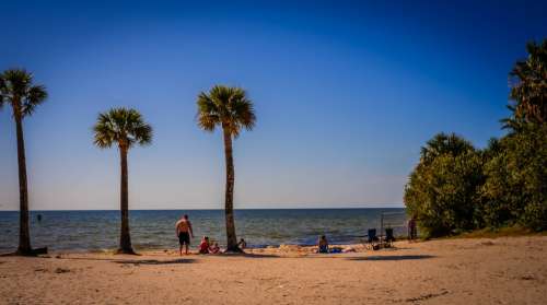 Pine Island Florida Beach Sunlight Seascape Shore