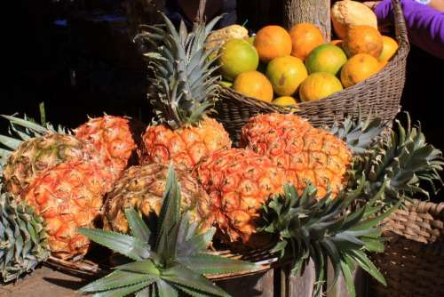 Pineapple Fruit Cuba