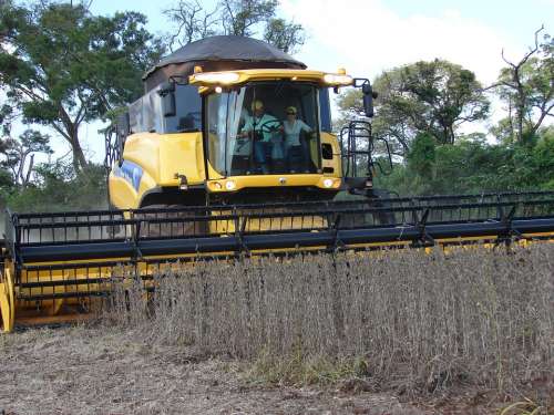 Plantation Soybeans Harvest Agricultural Machine