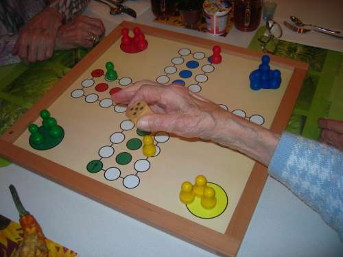 Play Board Game Not Ludo Parchesi Up Not