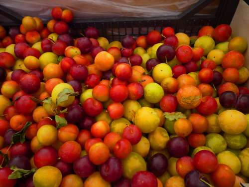 Plums Fruit Sweet Red Orange Colorful Market