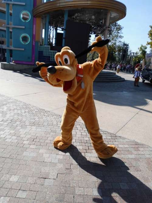 Pluto Disneyland Theme Park Entertainment Paris