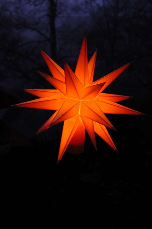 Poinsettia Dark Orange Shining Star Deco