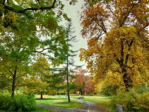 Poland Park Autumn Fall Trees Colors Colorful