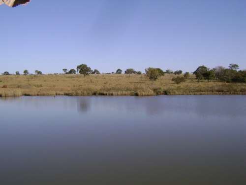 Pond Brazil Blue Lagoon Water Landscape