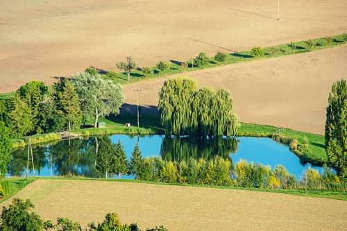 Pond Trees Mirroring Fields Landscape Arable