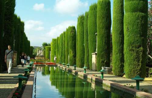 Pond Cordoba Water Vegetation Green Andalusia