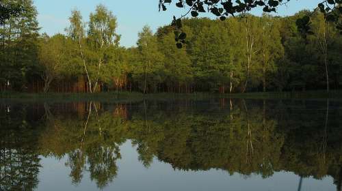 Pond Nature Water Reflections Landscape Landscapes