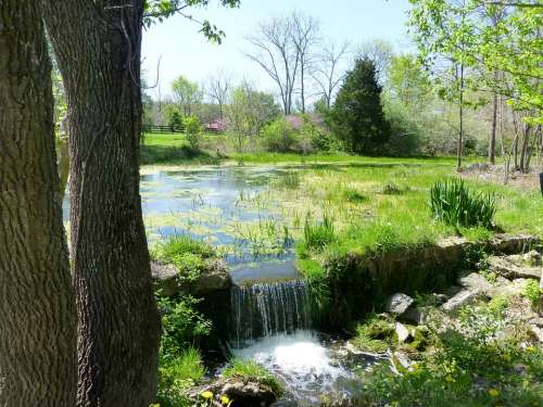 Pond Waterfall Nature Water Natural Outdoor