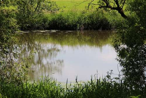 Pond Pools River Green Water Landscape Idyllic