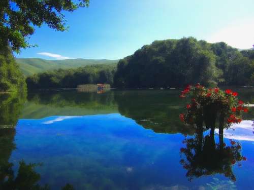 Pond Lake Water Forest Trees Summer Woods Boat