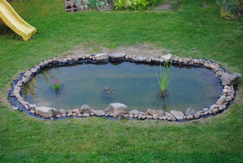 Pond Garden Water