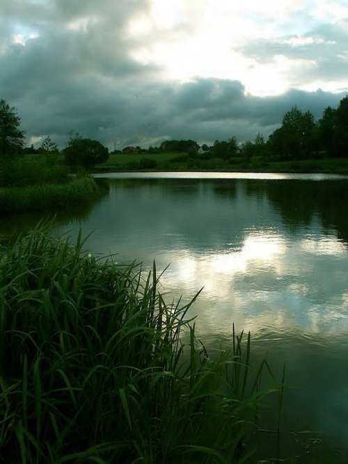 Pond Water Reflection Sky Evening Evening Sky