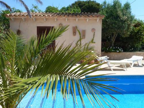 Pool Finca Mallorca Palm