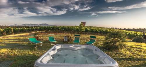 Pool Garden Chairs Tuscany Grape Field Nature
