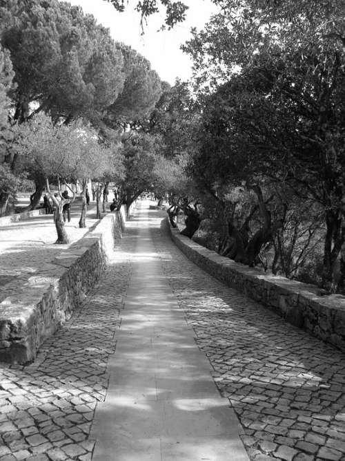 Portugal Black And White Garden Path Stonework