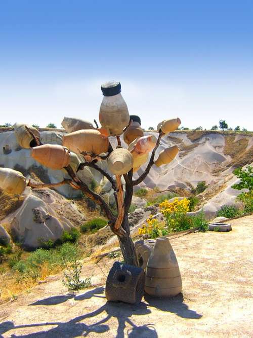 Pot Tree Desert Trees Elements Drought Decorative