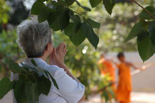 Pray Thailand Woman Buddhist Temple Elderly Monks