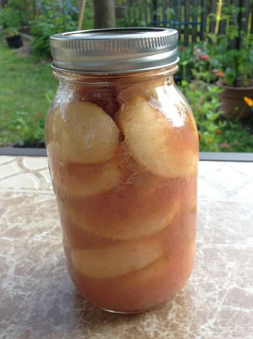Preserving Jar Jar Canned Apples Apples Canning