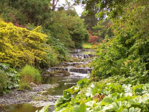 Pretty Scene Water Little Water Fall Green Trees