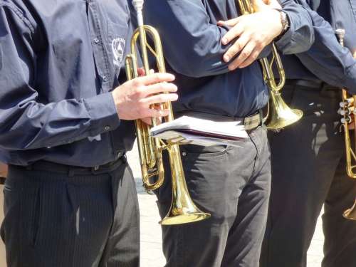 Proboscis Trumpet Instruments Instrument Music