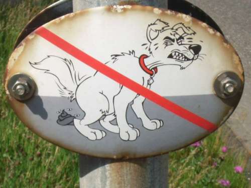 Prohibitory Ban Sheet Shield Dog
