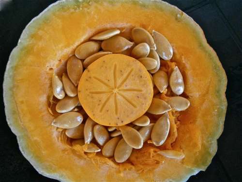 Pumpkin Fruit Seed Vegetable Nature