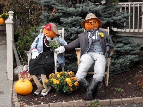 Pumpkin Jack-O-Lantern Fall Outdoor Humor