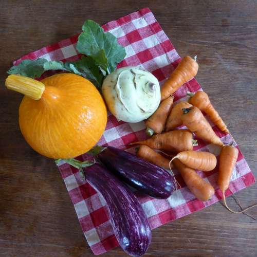 Pumpkin Carrots Eggplant Cook Food Eat Delicious