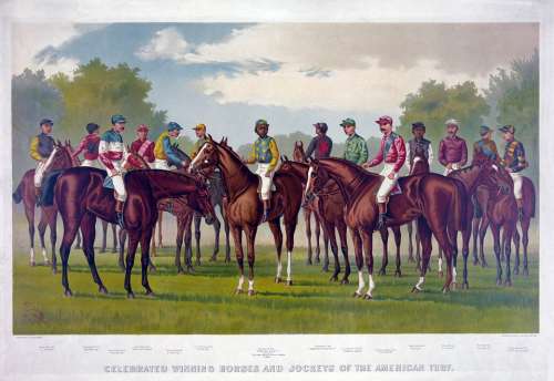 Race Horse Race Horses Horse Horses Jockey Jockeys