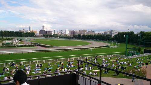 Racecourse Horse Racing Horse Gambling