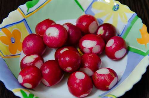 Radishes Root Crop Red Plate