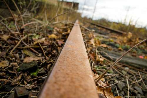 Rail Track Metal Rail Track Rust Old Iron Grove