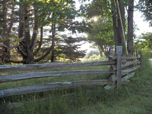 Rail Rail Fence Wooden Fence Fences Meadow Grass