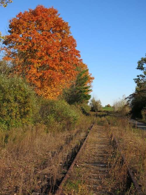 Railroad Track Train Abandoned Rail Fall Rusty