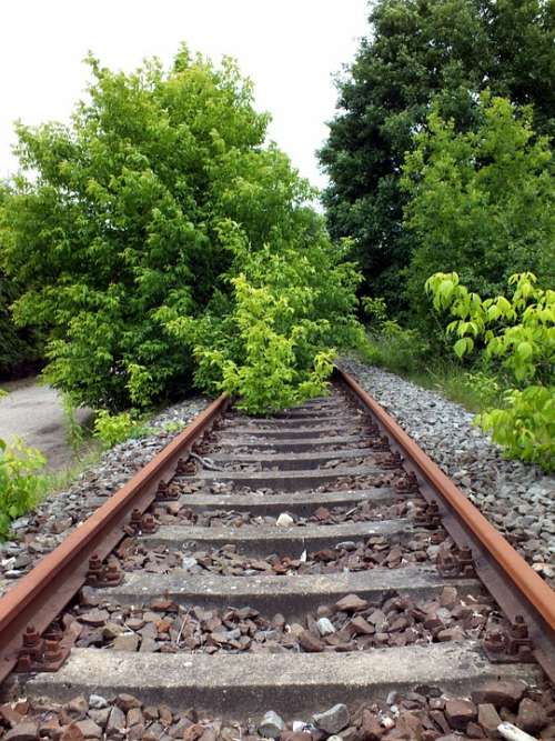 Railway Rails Train Overgrown