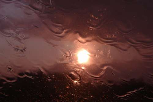 Rain Sun Weather Water Drip Reflection