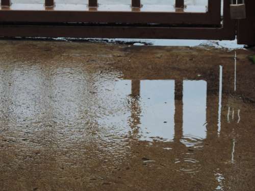 Rain Gate Sidewalk Reflection