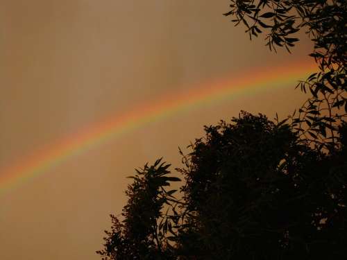 Rainbow Arc Colors Display Phenomenon Sky Storm
