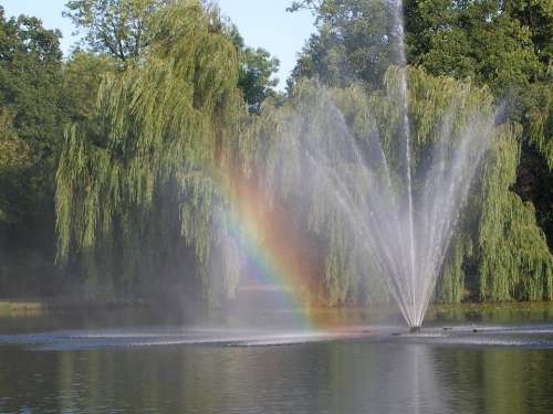 Rainbow Water Pond Nature