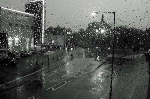 Raindrops Drops Window Black White Background
